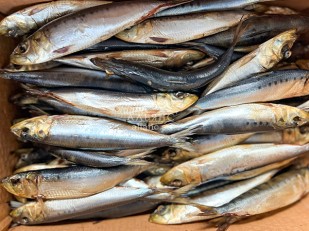 Горбуша балык холодного копчения: Сельдь Иваси х\к